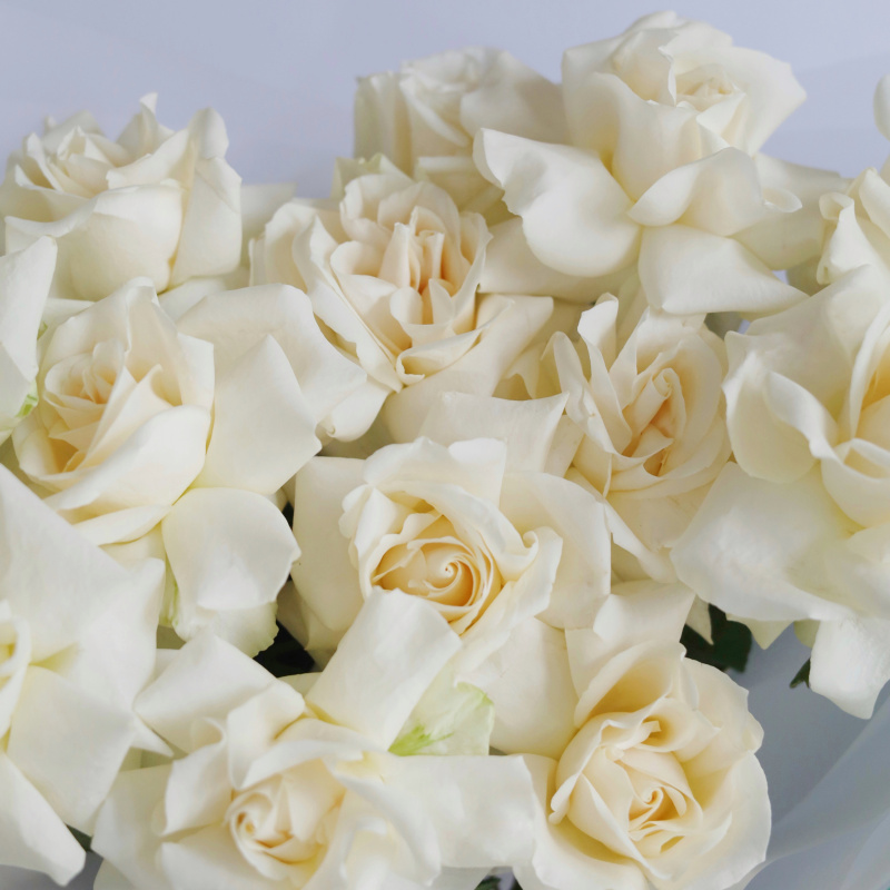 БУКЕТ 13 БЕЛЫХ ФРАНЦУЗСКИХ РОЗ