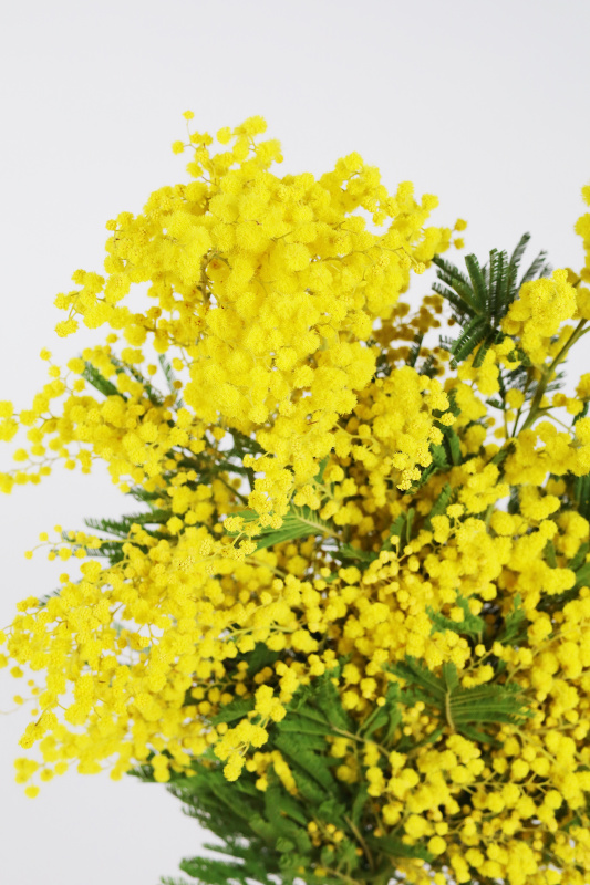 БУКЕТ ИТАЛЬЯНСКОЙ МИМОЗЫ