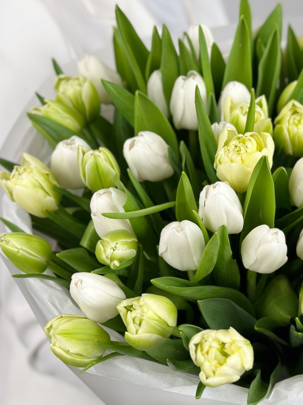 БУКЕТ 45 ТЮЛЬПАНОВ