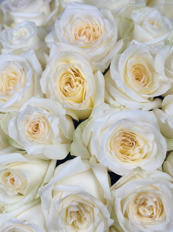 БУКЕТ 49 ПИОНОВИДНЫХ РОЗ CANDLELIGHT