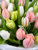 БУКЕТ 45 ТЮЛЬПАНОВ