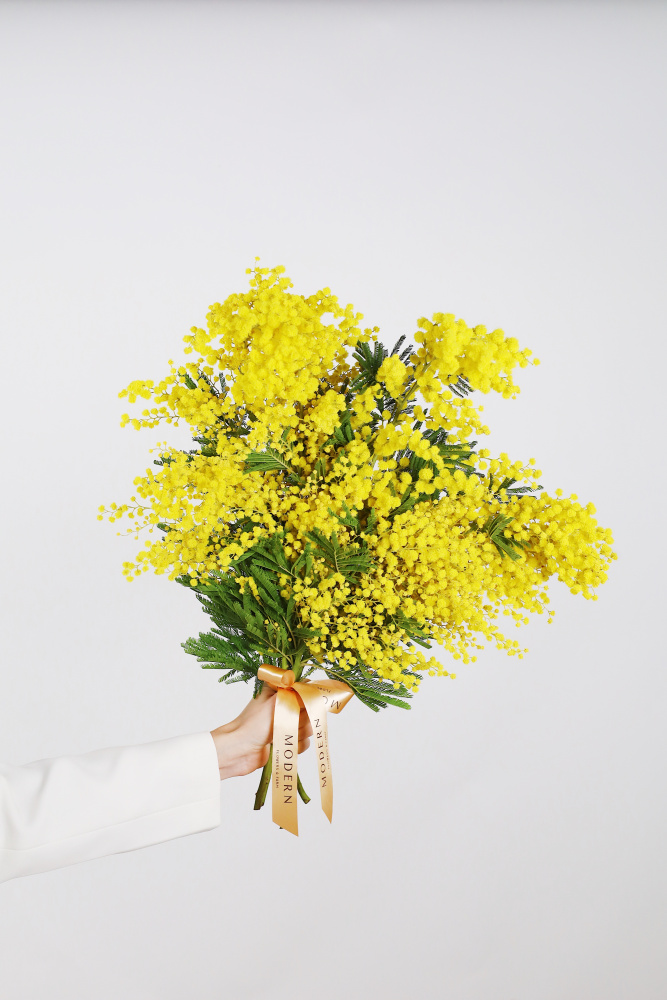 БУКЕТ ИТАЛЬЯНСКОЙ МИМОЗЫ