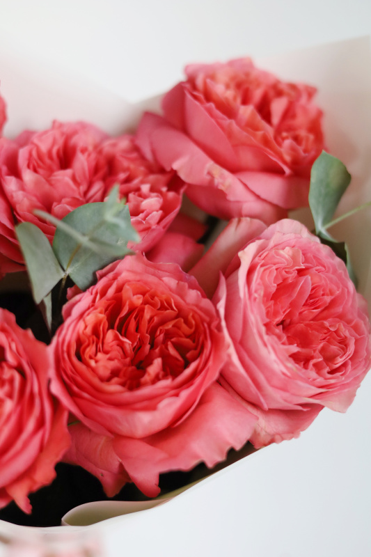 БУКЕТ С РОЗОВОЙ ПИОНОВИДНОЙ РОЗОЙ И ЭВКАЛИПТОМ