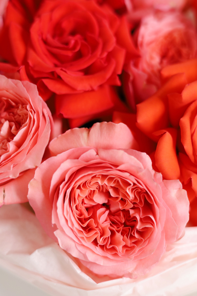 БУКЕТ ИЗ ФРАНЦУЗСКИХ И ПИОНОВИДНЫХ РОЗ