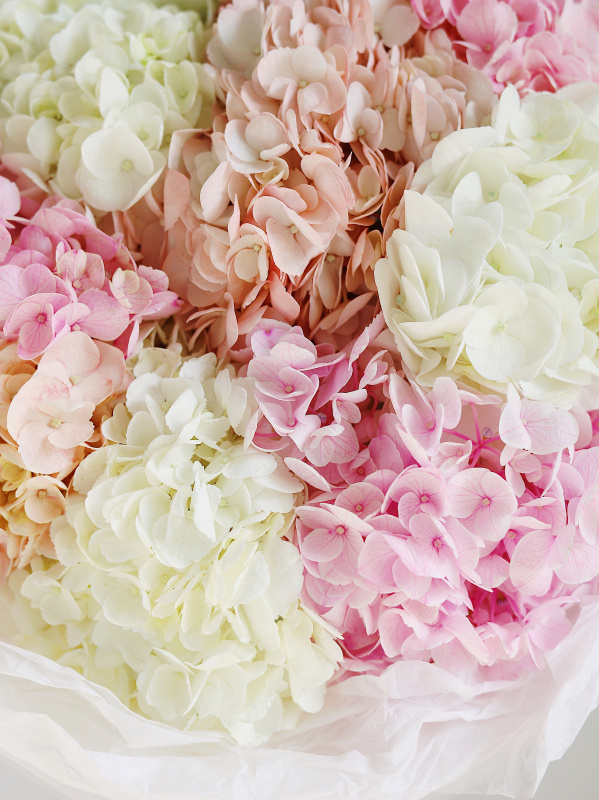 БУКЕТ 9 ГОРТЕНЗИЙ