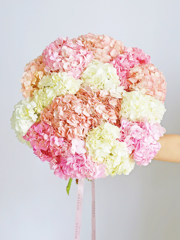 БУКЕТ 15 ГОРТЕНЗИЙ