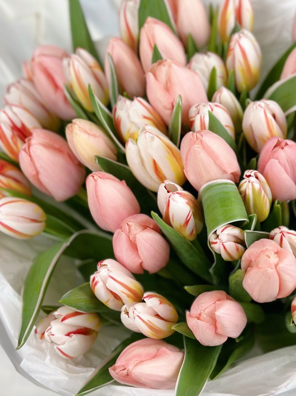 БУКЕТ 45 ТЮЛЬПАНОВ