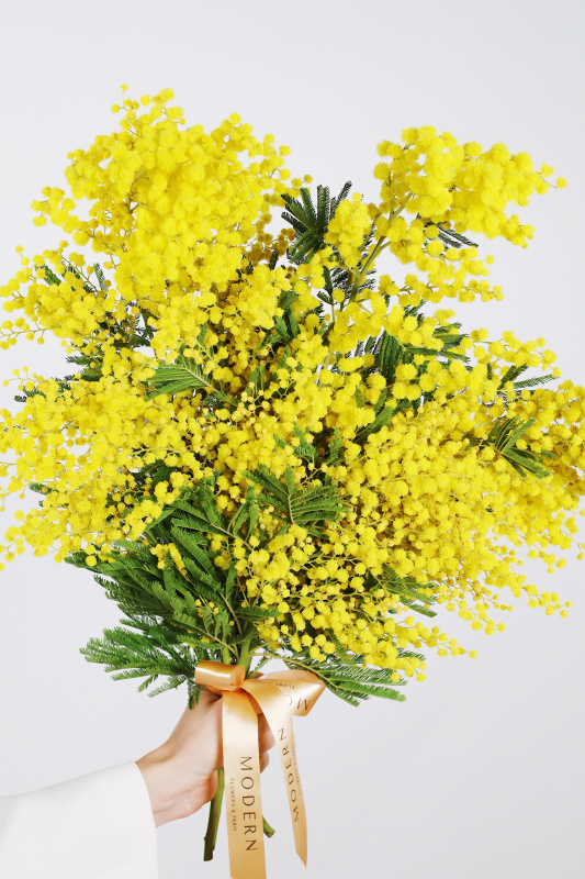БУКЕТ ИТАЛЬЯНСКОЙ МИМОЗЫ